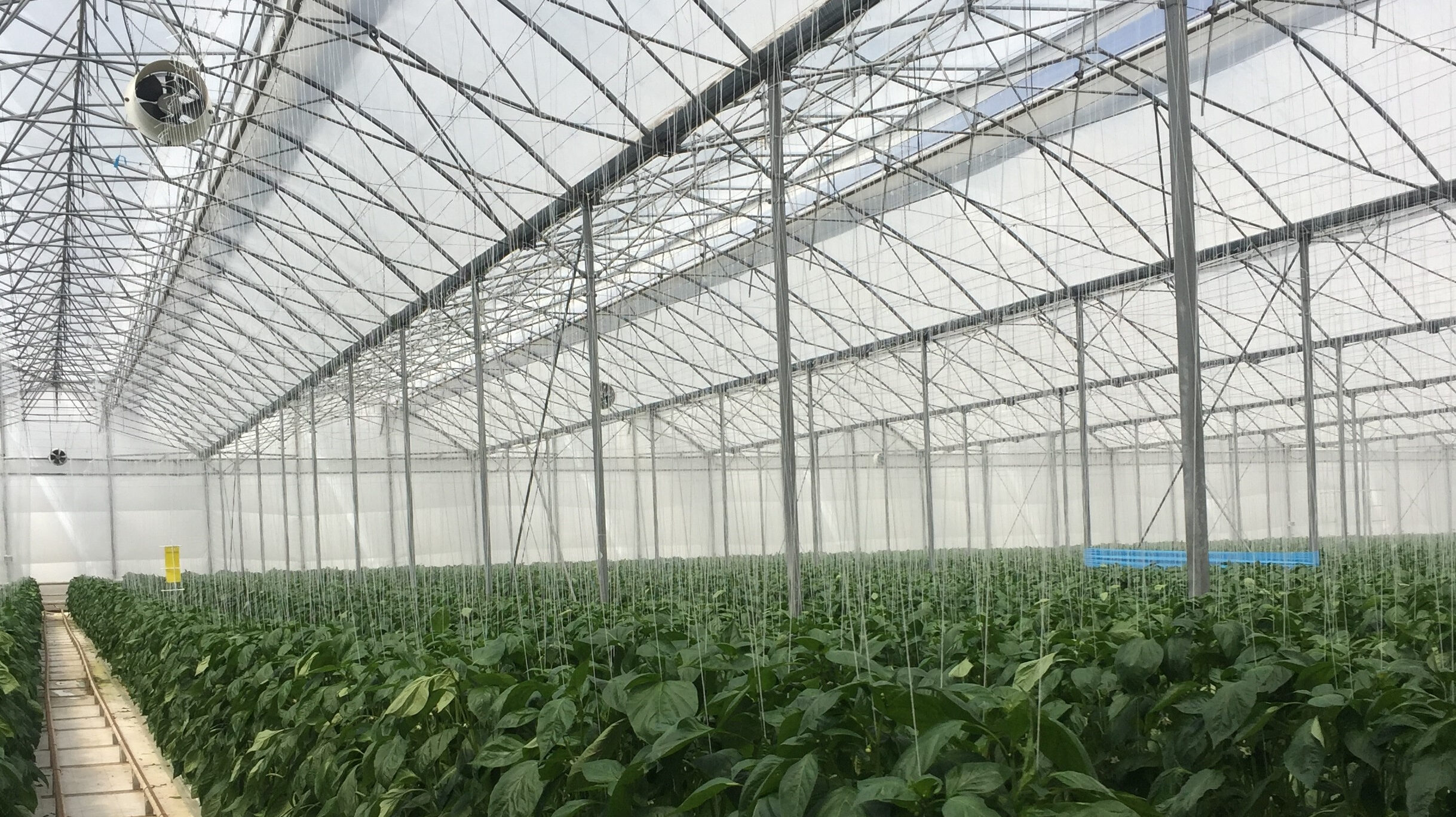 BIORETE AIR PLUS 1 arrigoni